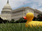 VIDEO: What's a lame duck?