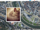 Site reveals where people's cats live