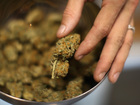 Booze more likely to send you to ER than pot