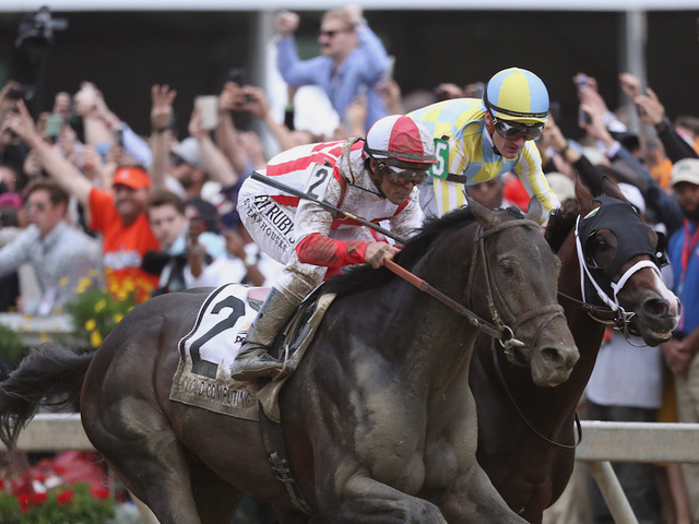 13-1 shot Cloud Computing springs upset in Preakness