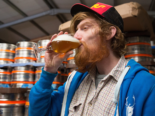 Dream job: You can get paid $64,000 a year to drink beer