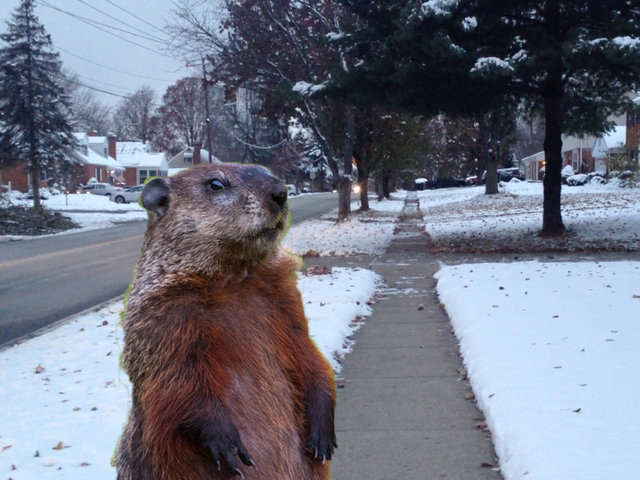 Winter making a comeback as Groundhog Day approaches